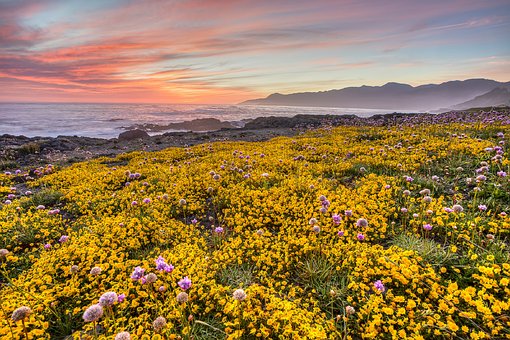 Traveling And Guidebook Relative To Special Reductions & Peaceful Stays On Taking Great Cheap San Di