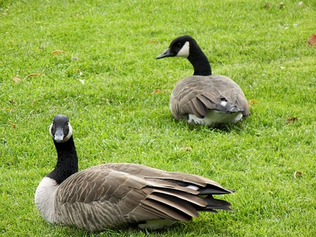 Low-priced Trip Packages To Elate You: Condos, Air Tickets, Eating Areas, Boutiques, Things To Do, A