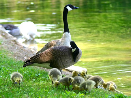 Great exhilarating tour to Burlington with flights to Burlington