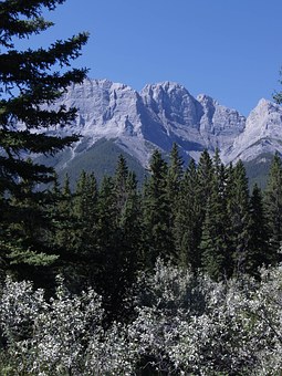 Wanting To Move To Canada But Not Sure How? Let's Take A Look At The Country's Most Needed Skills