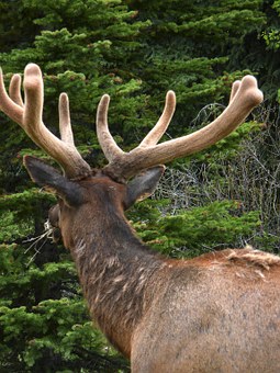 Fun-filled Vancouver Island Destinations Award-winning Hotels Nearby Beaches All Aboard Beautiful Vi