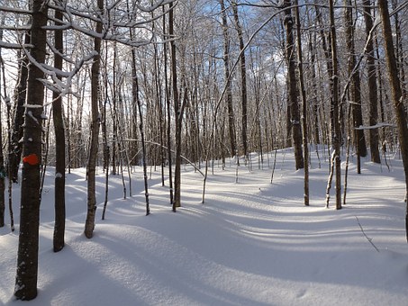 Ski Holidays Have Brighter Future