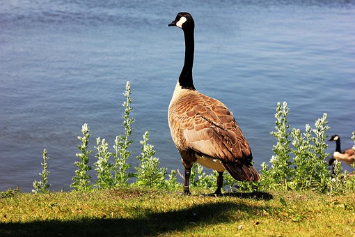 Travel Pointers Hotel Deals Magical Orlando Magical Attractions Nearby Airports On A Budget High And