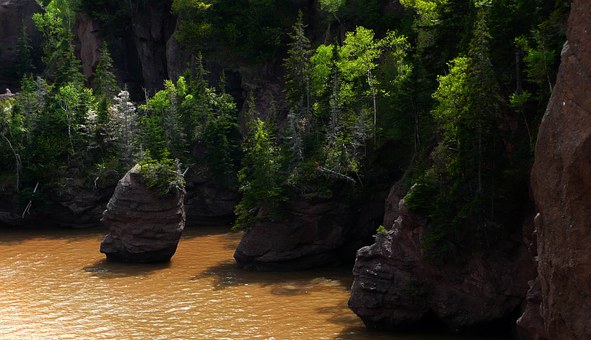 List Of The Top 10 Canadian Voluntourism Organizations 2011