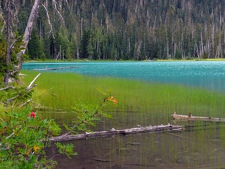 Travel Credit Rewards In Canada