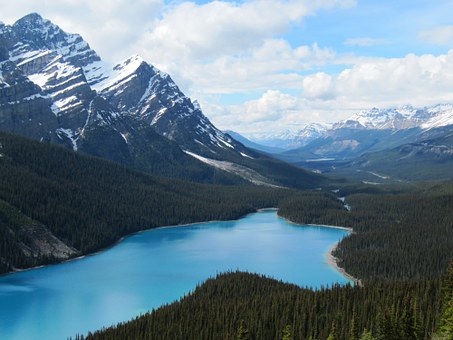 Hotels 101: A Traveler's Guide To Exploring And Saving