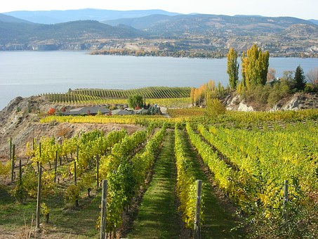 North America Escorted Tours Let You See the World You Already Know