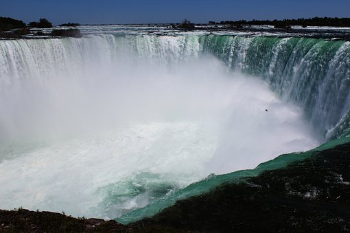 Traveller Information Relative To Grand Packages And Non-stop Flights While Booking Airlines For Bal