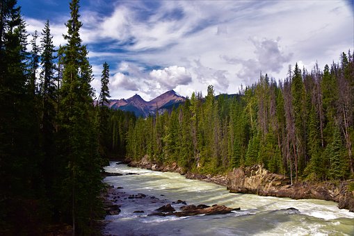 The Reason Why Travel Is So Important Today