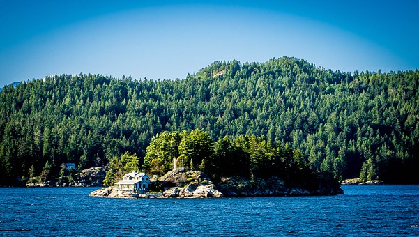 Hotels 101: A Traveler's Guide To Exploring And Saving