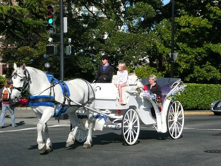 Traveling Information About Grand Mileage Combined With Grand Seating For Airlines For Baltimore
