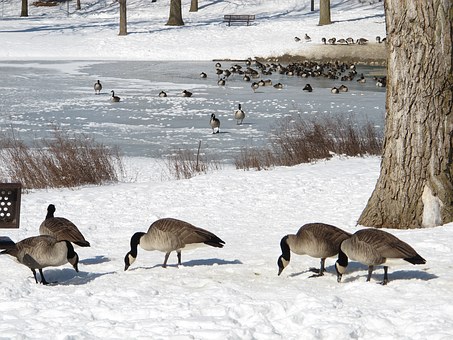 Seven Suggestions For Planning a Fulfilling Holiday Encounter
