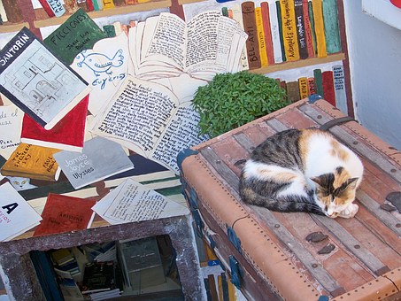 Pet Meds for Keeping Fleas at Bay