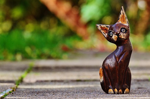 Pet Insurance Can Be Fashionable