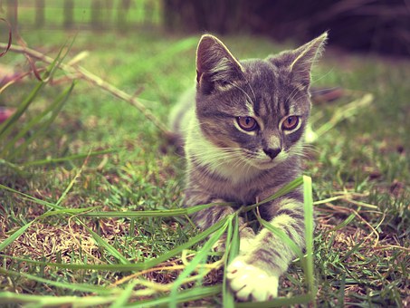 Insurance Marketing - How to Get a Flood of Referrals From Competitors