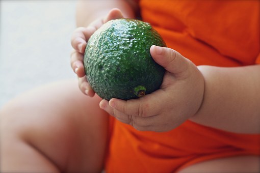 Paleo Kids Recipes | Caveman Kids Recipes