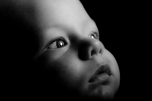 Child Support Demystified