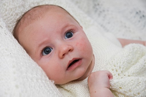 Top Dog Breeds For Families With Small Children