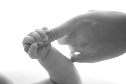 Should I Have Sex Around Ovulation To Get A Boy Baby? I'll Tell You