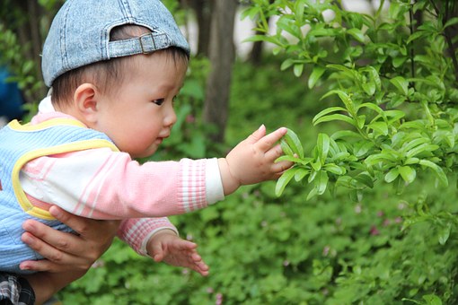 Baby Bloomers For Your Child
