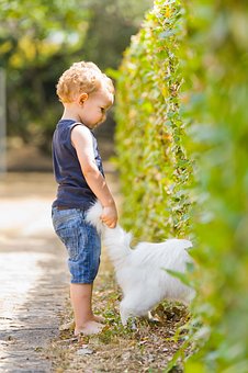 How to prepare your child to accommodate in the tuition center's atmosphere?
