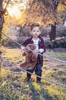 Stuffed Giant Toys and The Teddy Bear Industry in The U.S