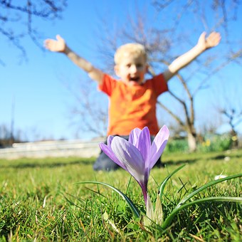 How to Choose English Classes for Your Young Kids