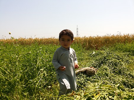 You Can Find Many Online Kids Activities.