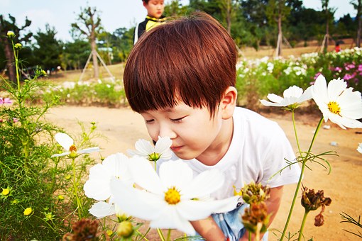 How To Become A Certified Early Childhood Educator