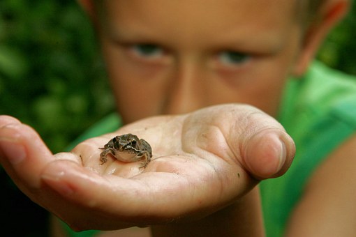 How Parental Concern Helps Kids To Take Academics Seriously
