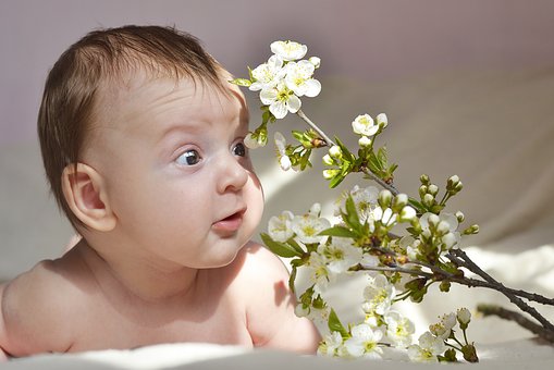 Why Are Childrens Vitamins With Dha Important For Growing Kids