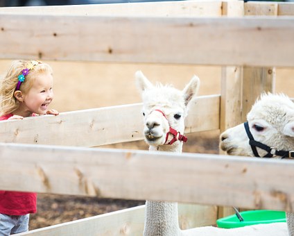Princeton Psychiatrists Explains Importance Behind Two Standout Treatments For Children
