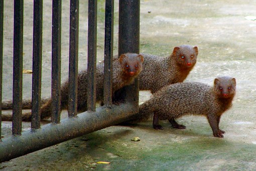 Things To Do For Children In Madrid