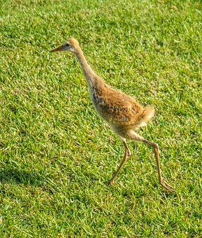 Fun Activities For Kids At Diani Beach