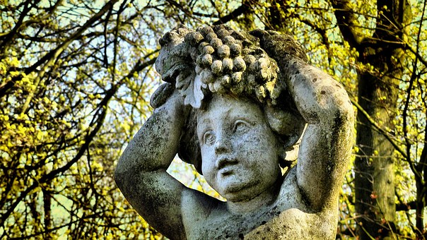 Heart Murmurs in Children