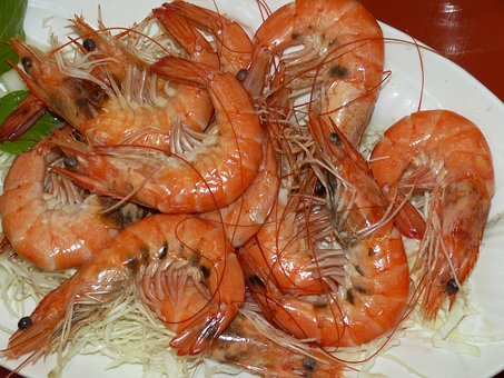 For Exciting Scuba Diving, Malaysia is an Ideal Destination
