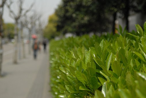 China Travel Advice to Get You Started on Preparing for Your China Trip