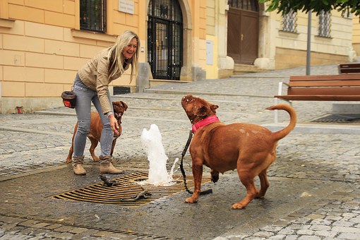 The Many Different Benefits Of Travel