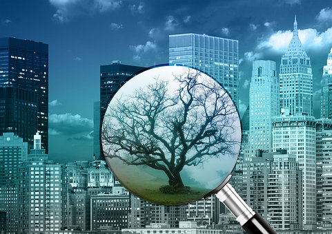 Thinking Of A Well-deserved Salt Lake City Trip? Learn About These Instructions On How To Grab Excel