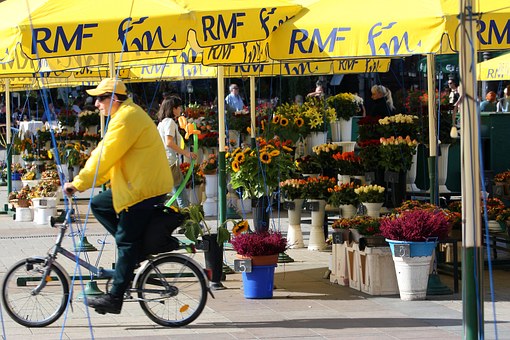 Want Big Apple Cheap Trips? Follow These Instructions On How To Get The Best Deals