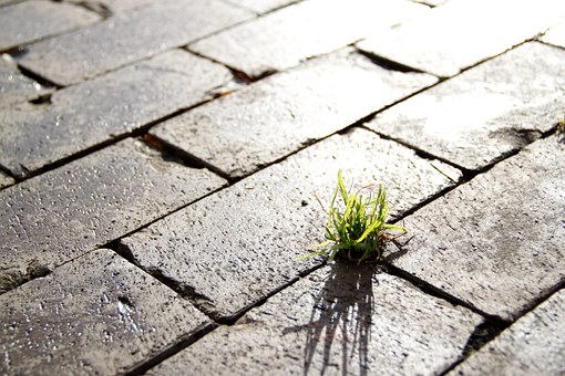 My Divorce and Separation - and why Ireland is different