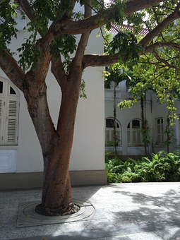 The Best Hints Reserve A Terrific Barbados Exotic Holiday Online In Order To Cut The Costs Without A