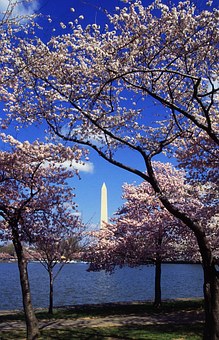 Keeping The Romance Alive Getaways Gateway To Washington State Near The City Center All Year Round S
