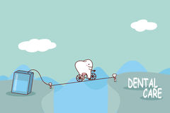 Orange County Dentist Have Your Wisdom Third Molars Developed