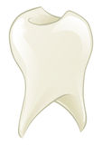 Find The Best Dentist In Everett Wa