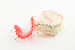 Gleaming Teeth