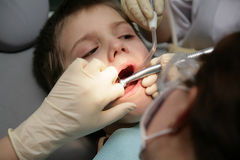 Observing Your Dog's Dental Health Through His Diet