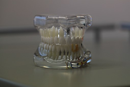 Dental Treatment And Orthodontist Calgary