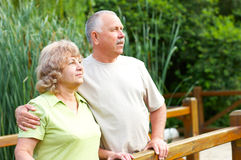 Dental Treatment Planning: Factors That Impact Dental Crown Candidacy