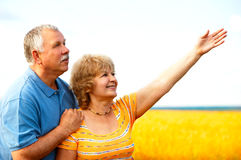 Know More About Dental Insurance